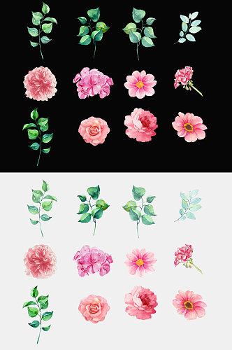 手绘植物花朵设计素材