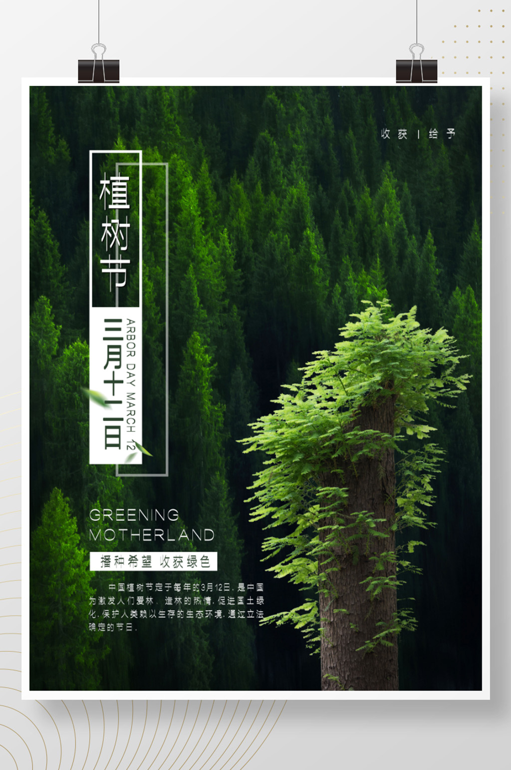 大气绿色森林植树节海报素材