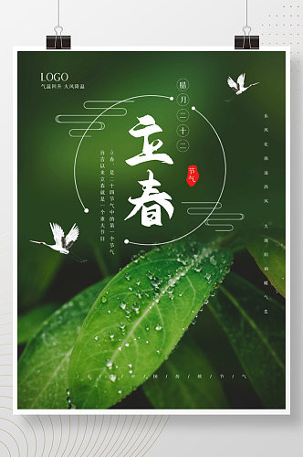 绿色简约传统节日二十四节气立春宣传海报