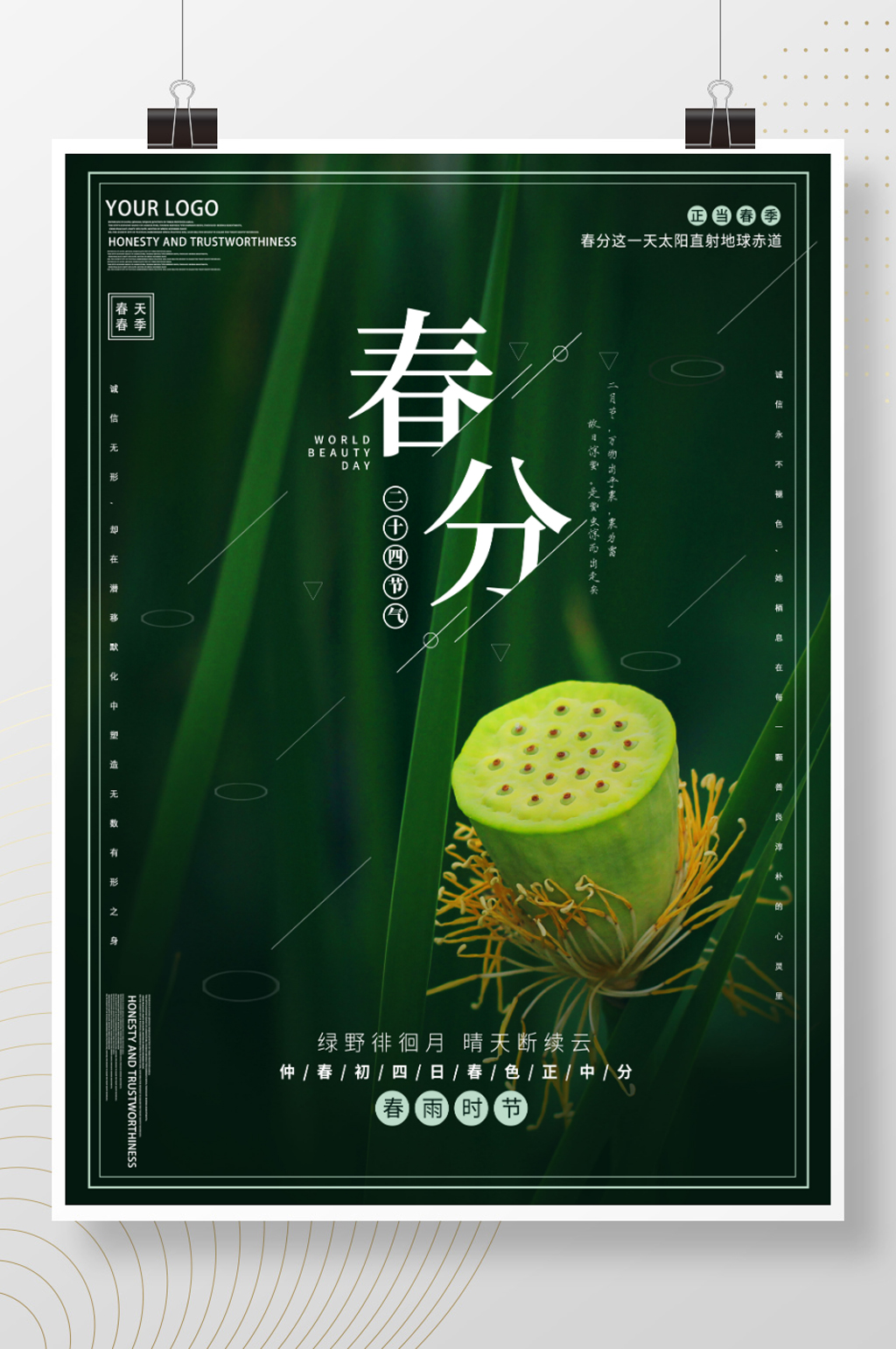 小清新绿色春分摄影图海报素材