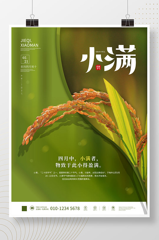 小清新绿色摄影图小满稻谷稻穗节气海报