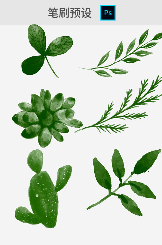 32款水彩花园绿植装饰图案PS笔刷素材