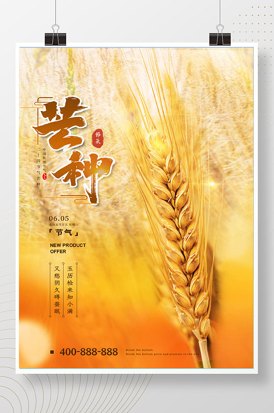 芒种麦穗简约大气海报