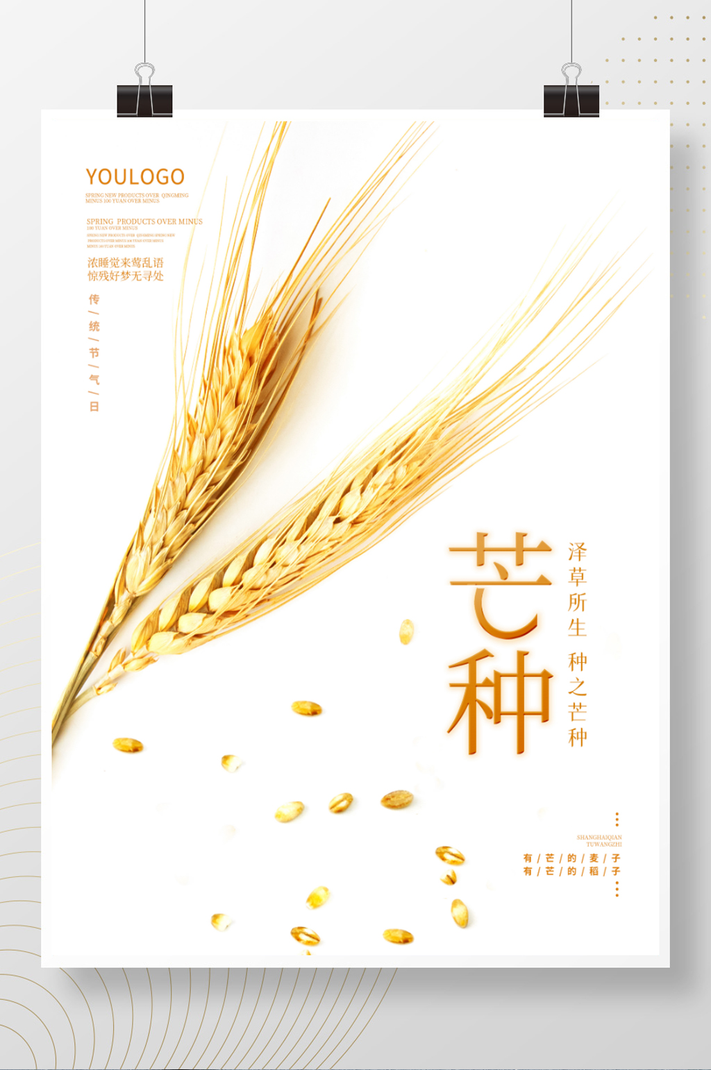 简约24节气芒种宣传海报夏季麦穗背景素材素材