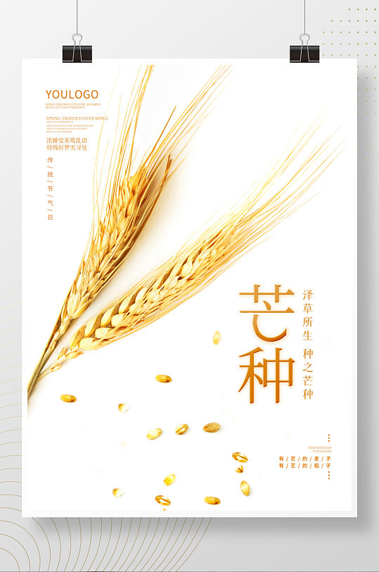 简约24节气芒种宣传海报夏季麦穗背景素材