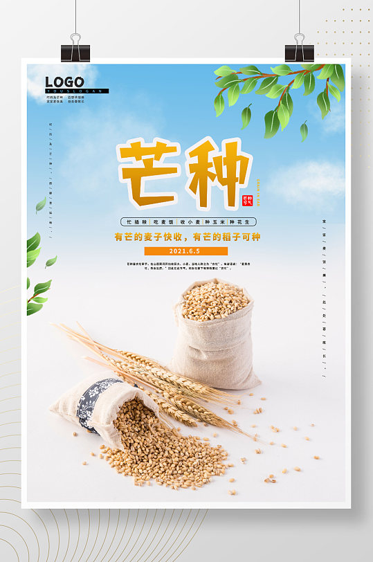 芒種節(jié)氣中國傳統(tǒng)節(jié)日海報(bào)