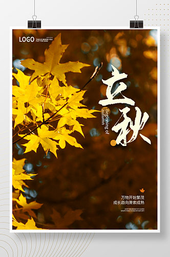 立秋节日摄影图海报