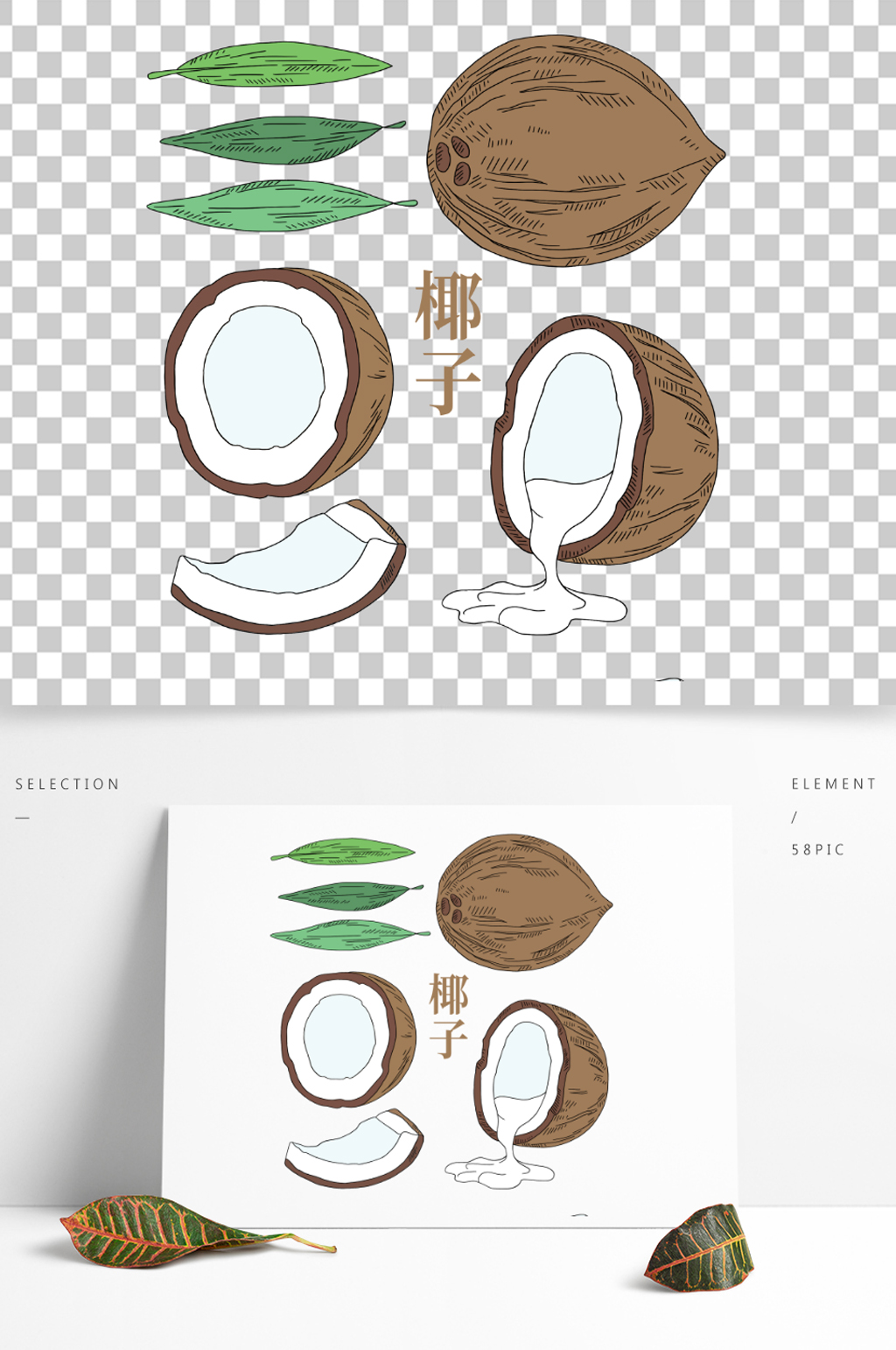 椰子手绘卡通椰汁热带水果美食素材素材