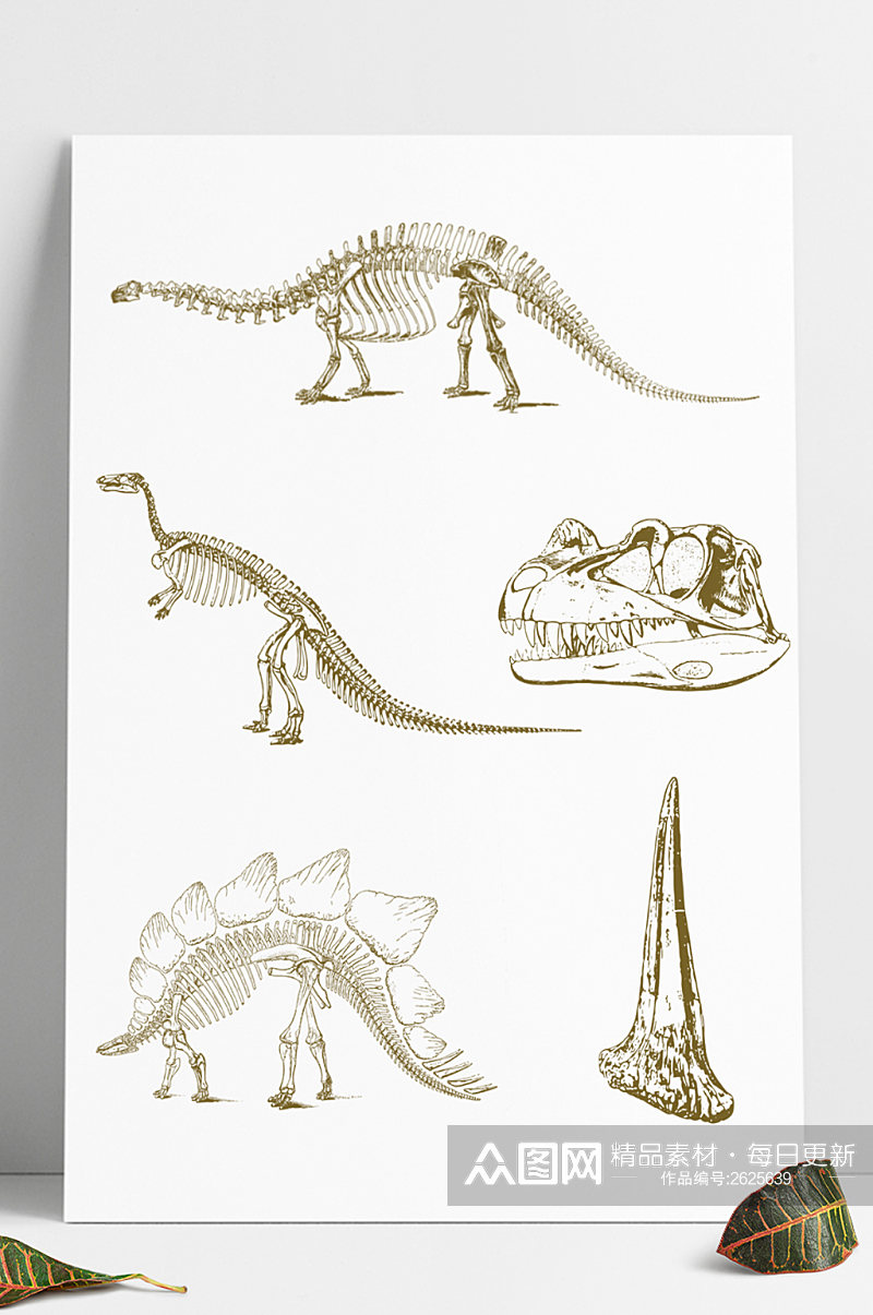 恐龙恐龙骨骼恐龙化石素材