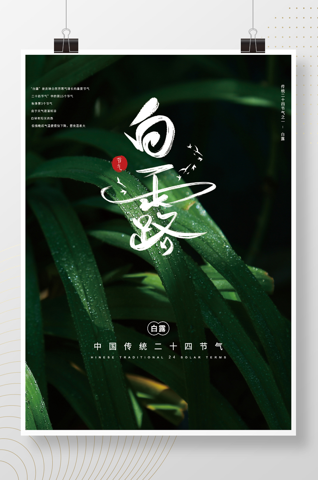 二十四节气之一白露素材