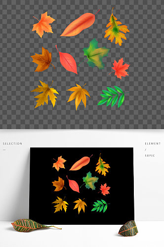 矢量免扣秋天的红黄色枫叶落叶树叶图片素材