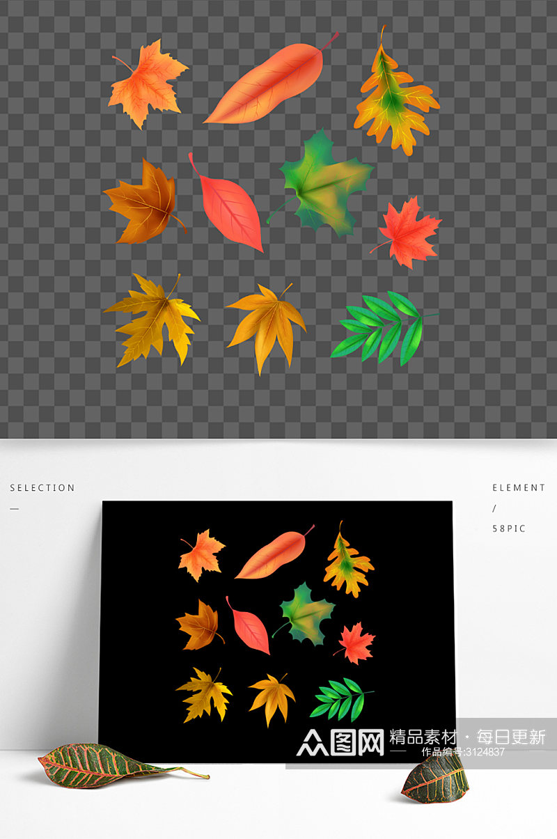 矢量免扣秋天的红黄色枫叶落叶树叶图片素材素材