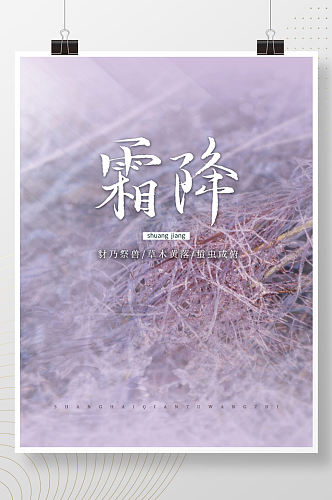 简约霜降节气摄影海报结冰植物背景素材