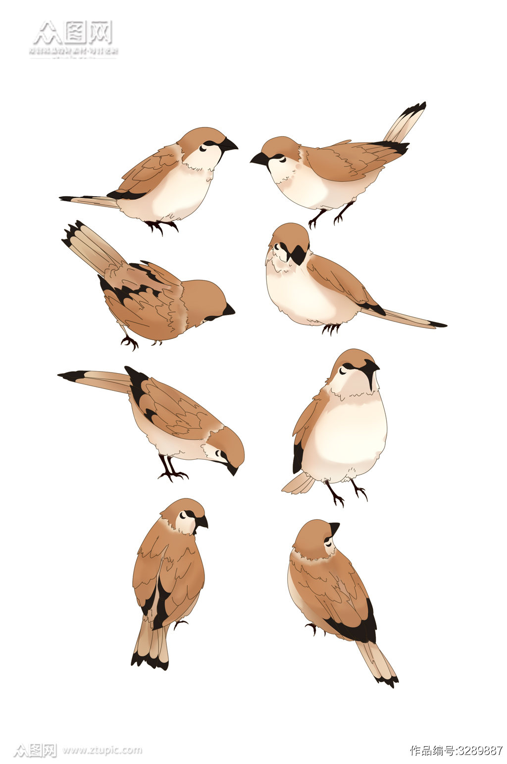 各角度麻雀手绘素材模板下载 编号327 众图网 各角度麻雀手绘素材模板下载 编号327 众图网