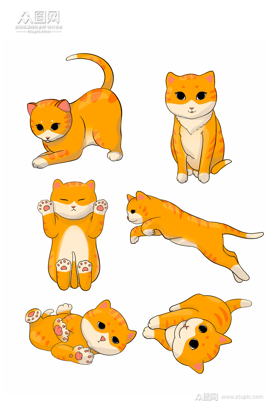 可爱的猫咪各种各样的萌态动作