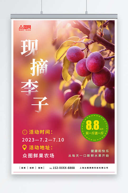 现摘西梅李子夏季水果果园促销海报