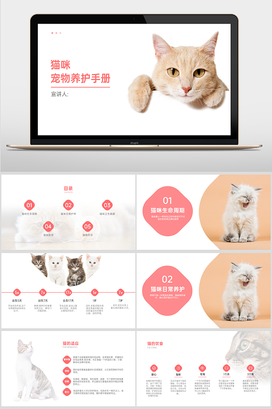 寵物養(yǎng)護培訓手冊PPT