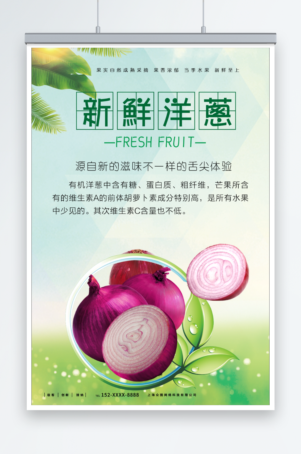 有机新鲜洋葱蔬菜展板素材
