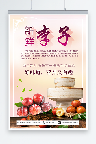 新鲜西梅李子夏季水果果园促销海报