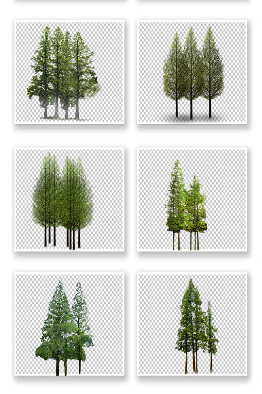 景观树植物大树素材