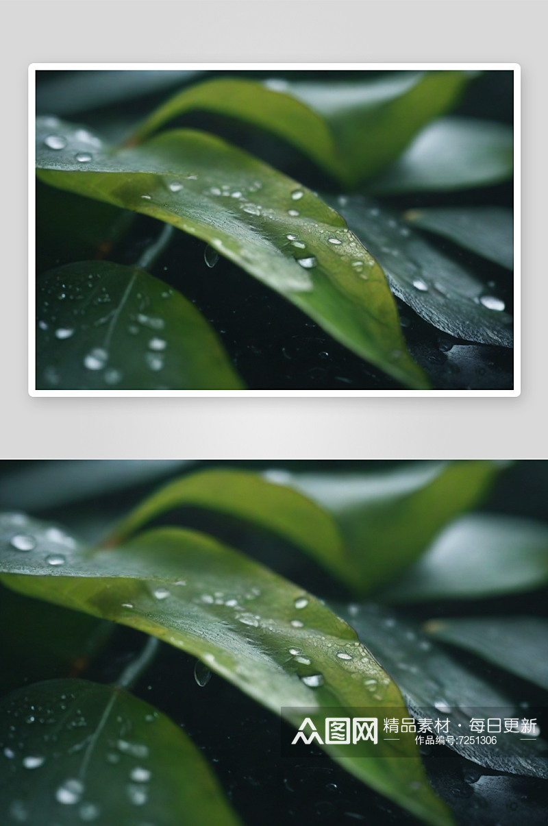 下雨天枫叶落满地面素材