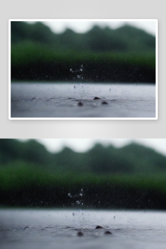 特写镜头下水珠在雨水中闪烁着迷人的光芒