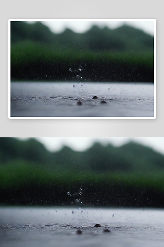 特写镜头下水珠在雨水中闪烁着迷人的光芒