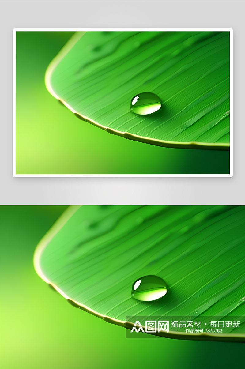 绿色背景下水滴绽放出多彩的光彩素材
