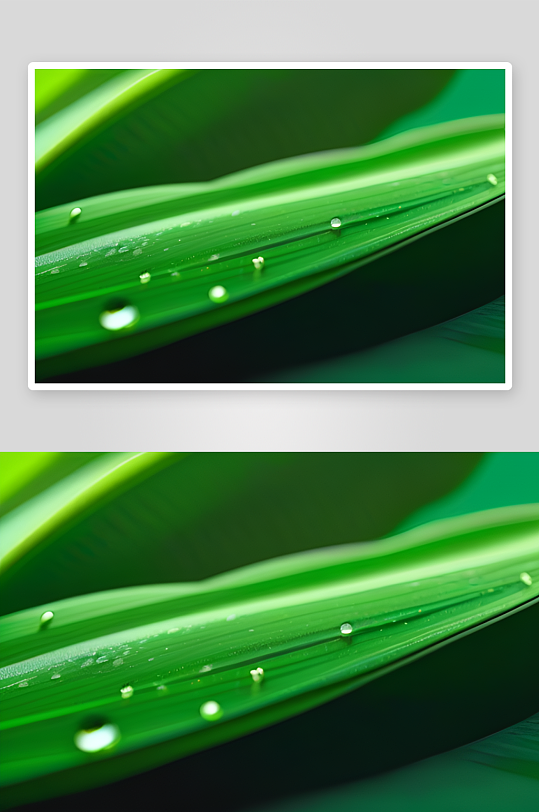 数字渲染的水滴在绿色背景中绽放绚丽光芒