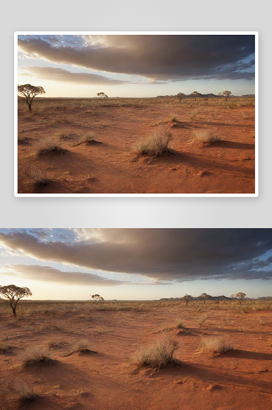 干旱与沙漠之美澳大利亚的干燥景观