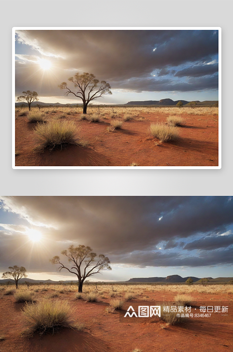 干旱草原与沙漠树木澳大利亚的美景素材