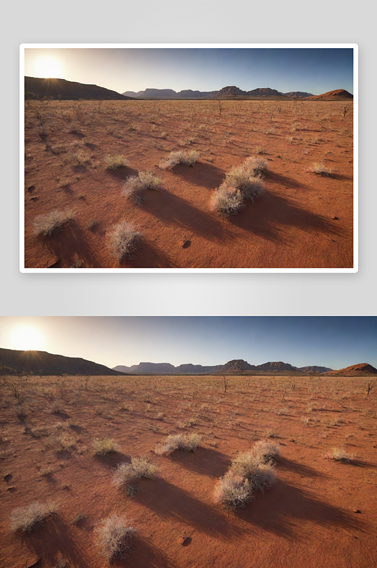 澳大利亚干燥天气的沙漠绿洲美景