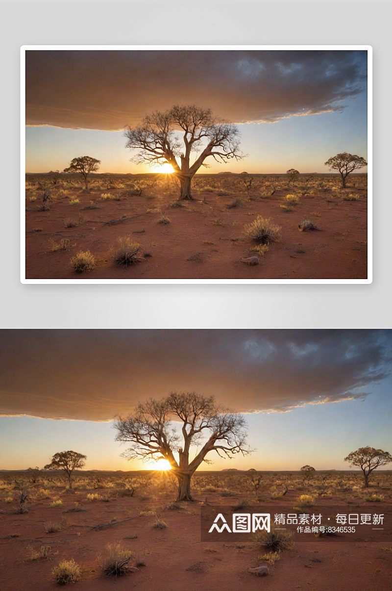 沙漠绿洲的壮丽美景澳大利亚干燥天气素材