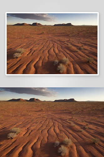 沙漠绿洲的壮丽美景澳大利亚干燥天气