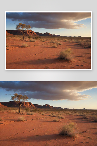 沙漠绿洲的壮丽美景澳大利亚干燥天气