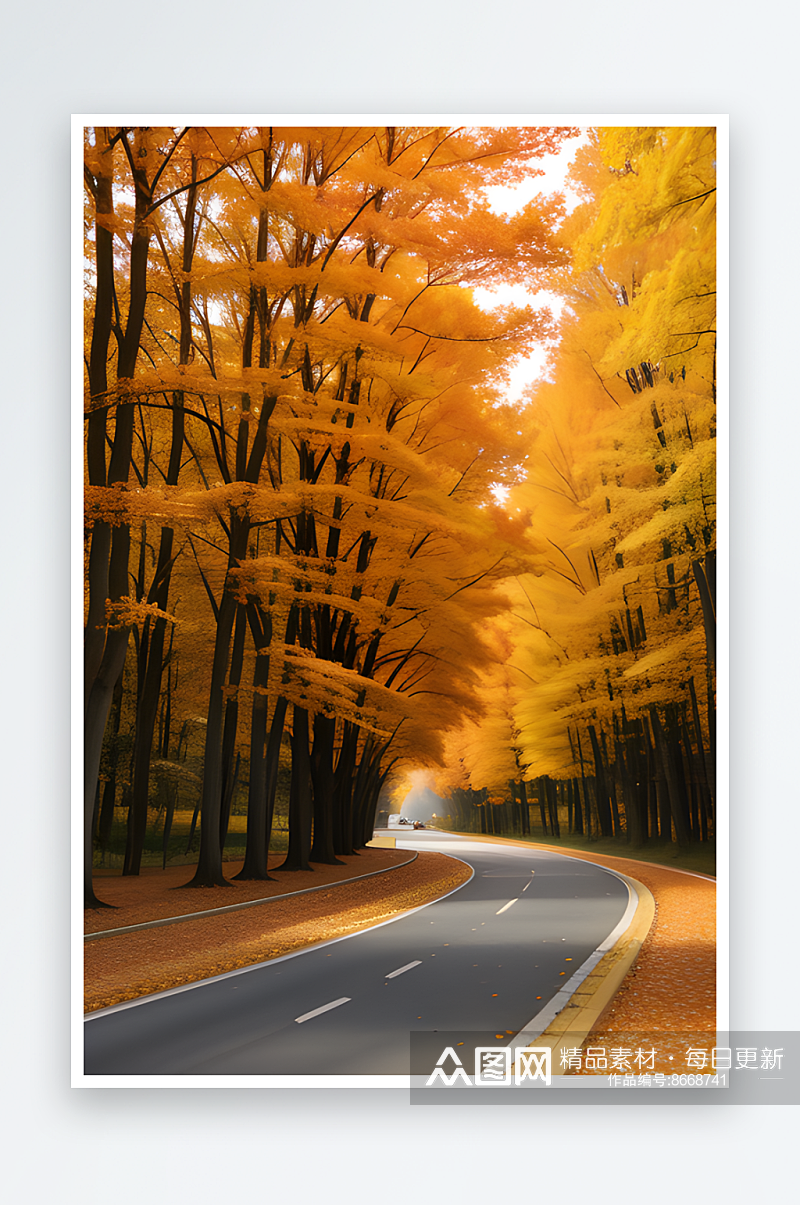 橙色秋天树木在胶片照片中的迷人景色素材