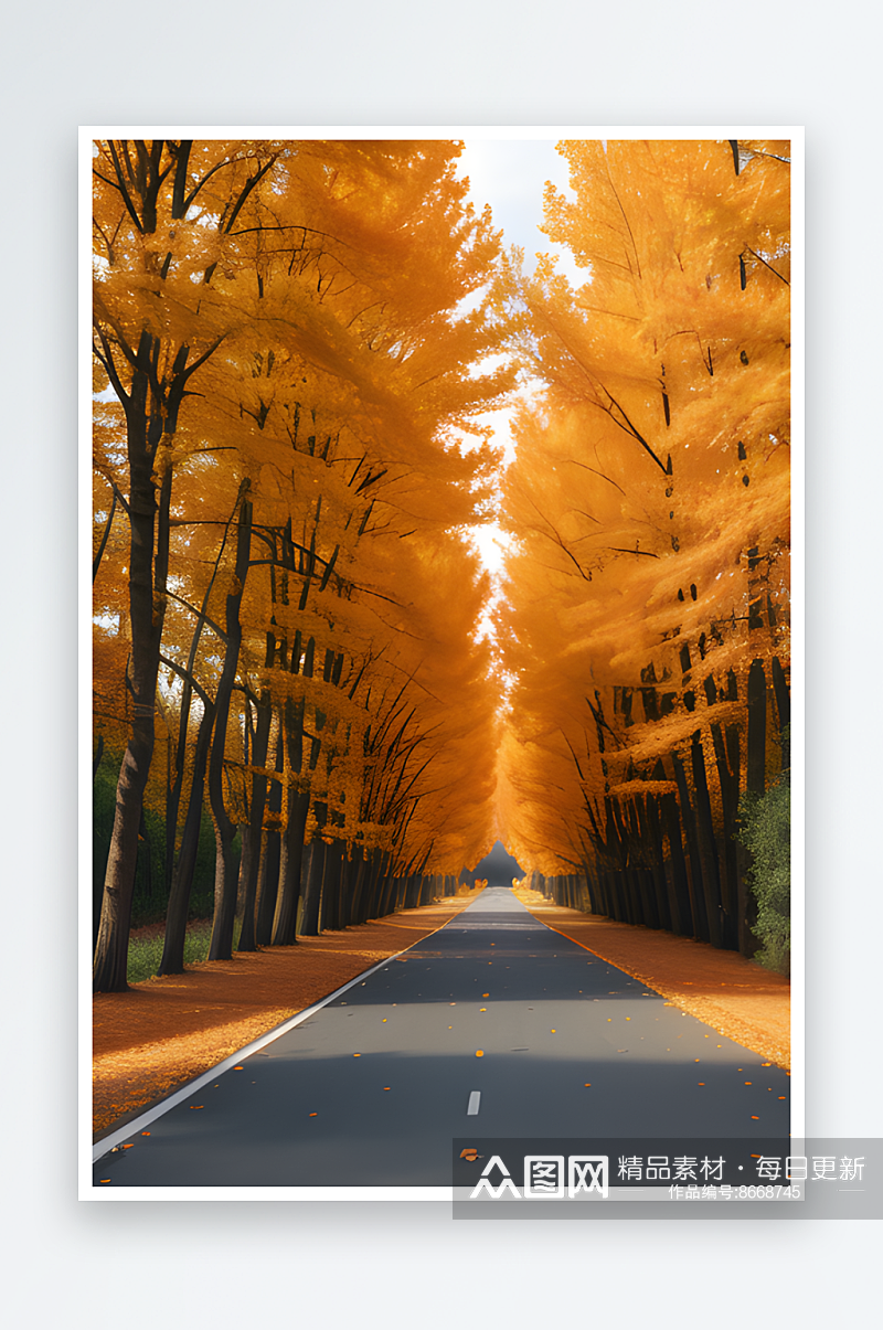 橙色秋天树木在胶片照片中的迷人景色素材