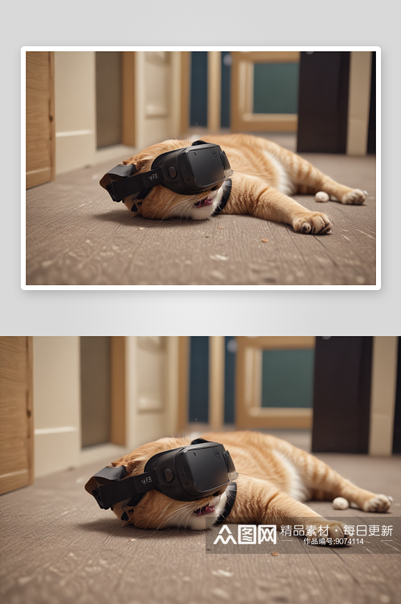 VR体验区猫咪哭泣场景带来震撼感官体验素材