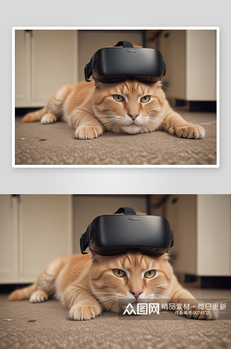 猫咪哭泣的虚拟现实极致真实的情感交互素材