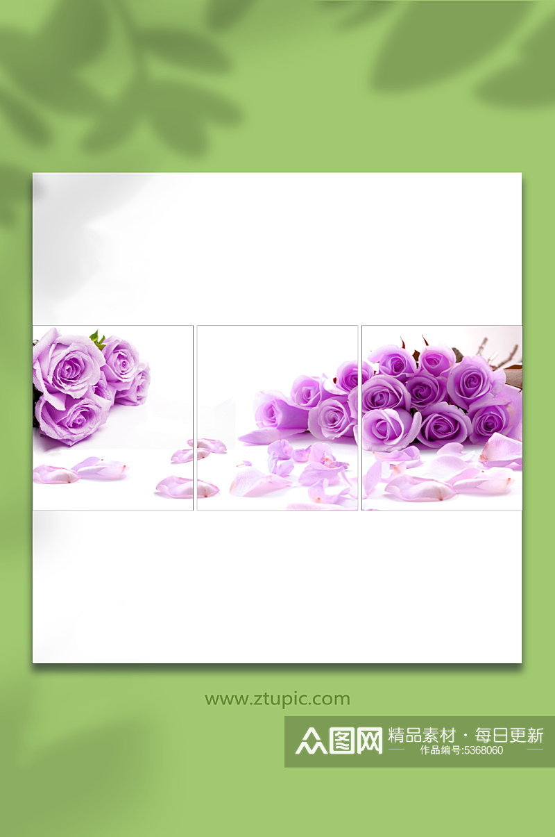 紫玫瑰花高清装饰画CDR素材