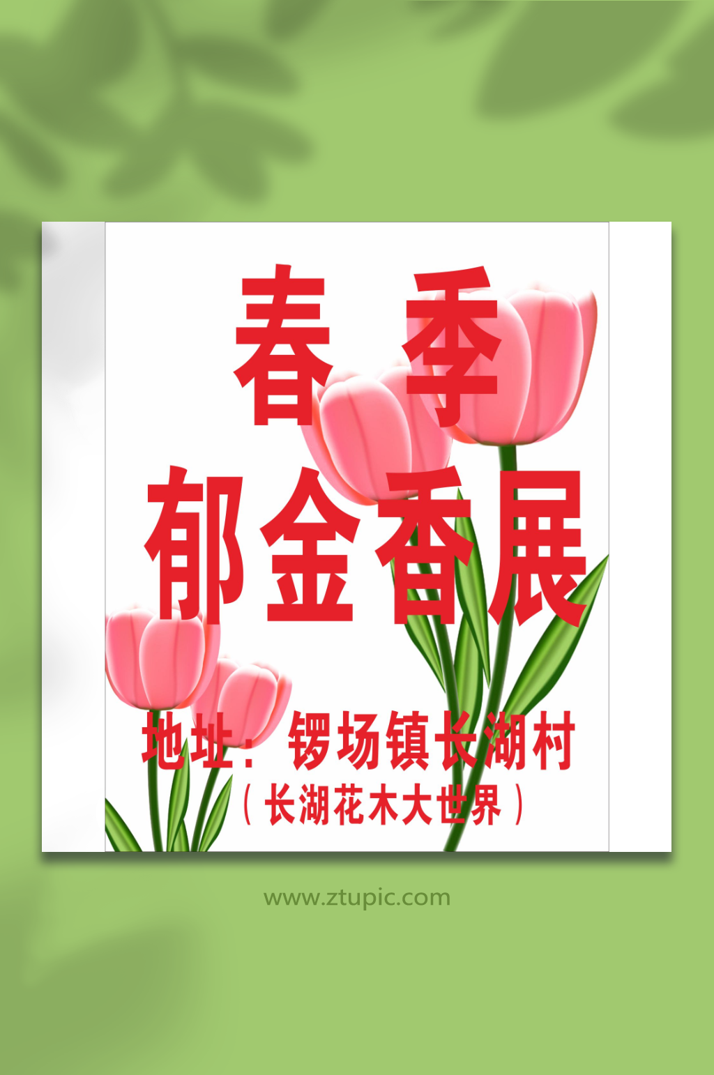 郁金香宣传海报设计素材