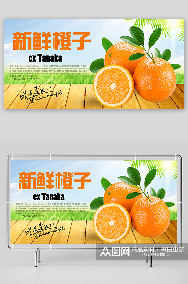 橙子高清产品图展板素材