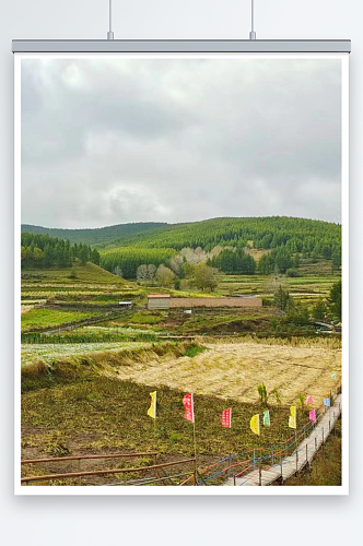 田间稻香风景图画