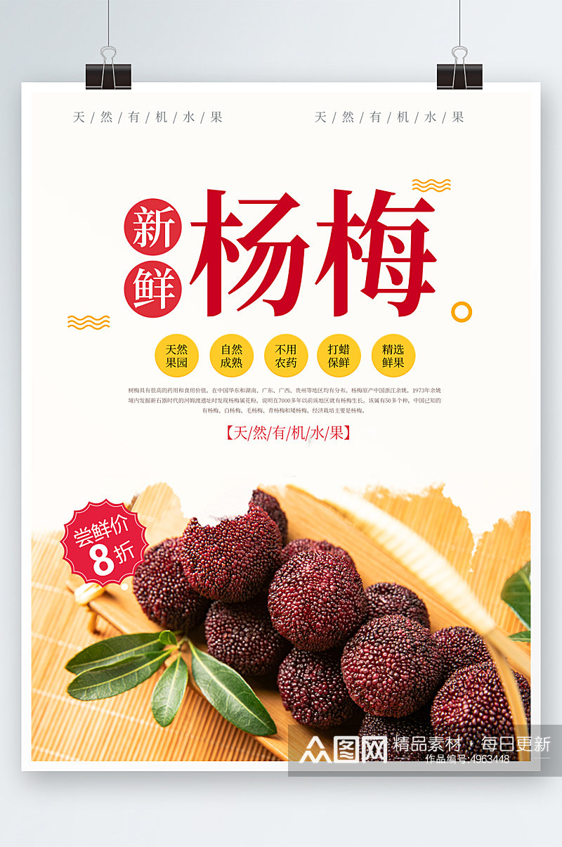 有机新鲜杨梅夏季水果果园促销海报素材