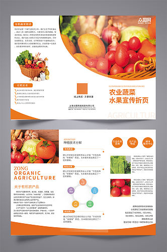 有机蔬菜水果农产品宣传三折页