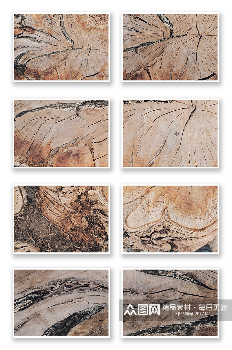 高分辨木头横切面特写纹理png素材素材