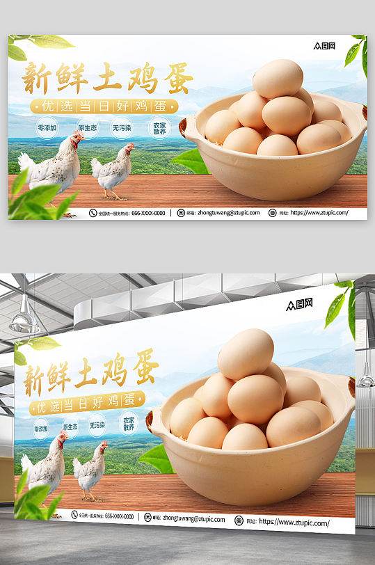 新鲜散养健康鸡蛋农家土鸡蛋宣传展板