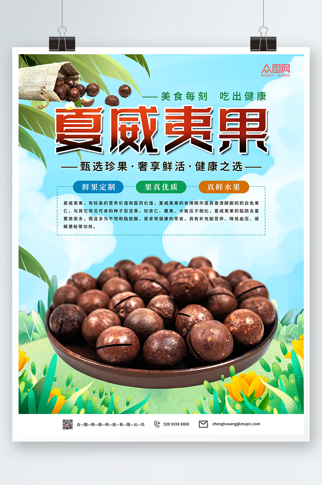 小清新夏威夷果坚果海报素材