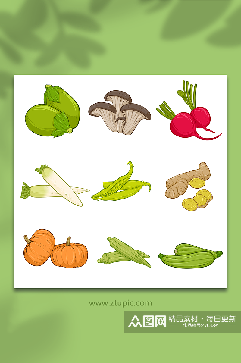 白萝卜生姜荷兰豆南瓜蔬菜卡通元素插画素材