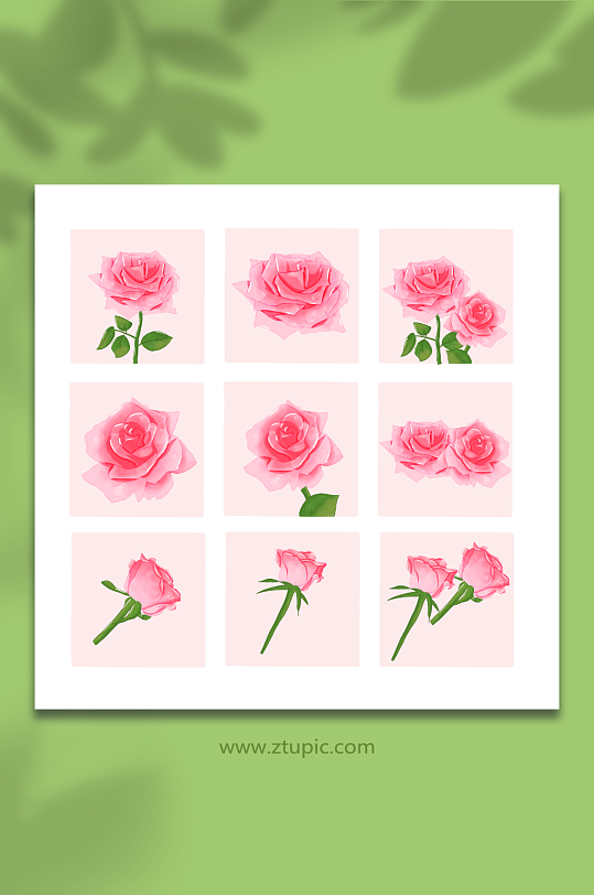 粉色浪漫手绘鲜花玫瑰花元素插画